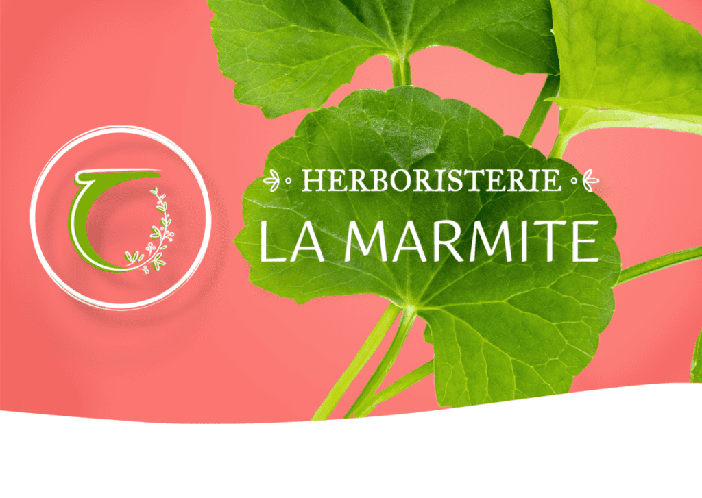 Herboristerie La Marmite